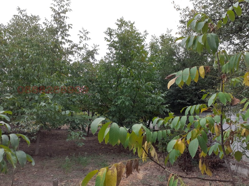 Продава ПАРЦЕЛ, с. Виноградец, област Пазарджик, снимка 7 - Парцели - 53137909