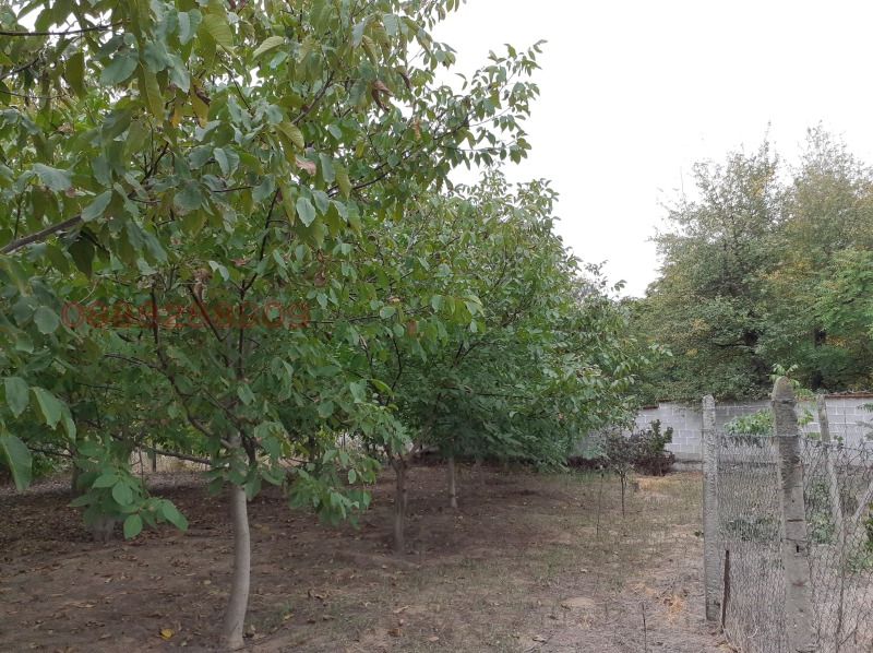 Продава ПАРЦЕЛ, с. Виноградец, област Пазарджик, снимка 5 - Парцели - 53137909