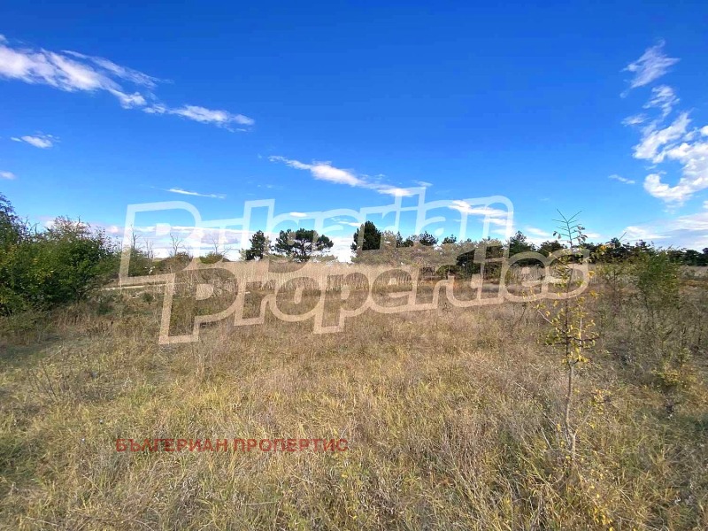 Продава ПАРЦЕЛ в област Добрич, с. Хаджи Димитър - 3380 кв.м / 33 800 € » 66 107.05 лв., БЪЛГЕРИАН ПРОПЕРТИС