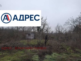 ����� ������� ������,���� ������, �������