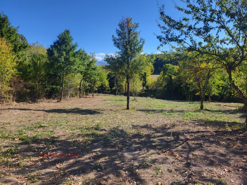 Till salu  Komplott region Lovech , Patresjko , 1782 kvm | 25487514 - bild [4]