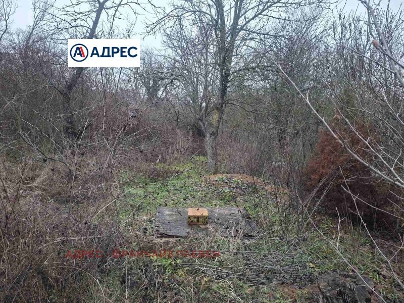 Продава ПАРЦЕЛ, гр. Плевен, Кайлъка, снимка 6 - Парцели - 53015921