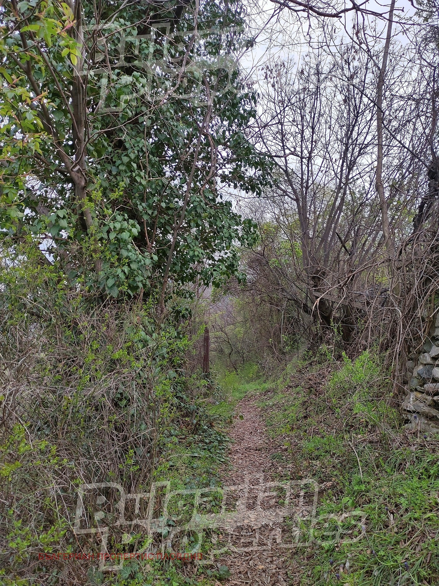 Продава ПАРЦЕЛ, гр. Асеновград, област Пловдив, снимка 4 - Парцели - 54108834