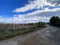 Продава ПАРЦЕЛ, с. Хаджи Димитър, област Добрич, снимка 4