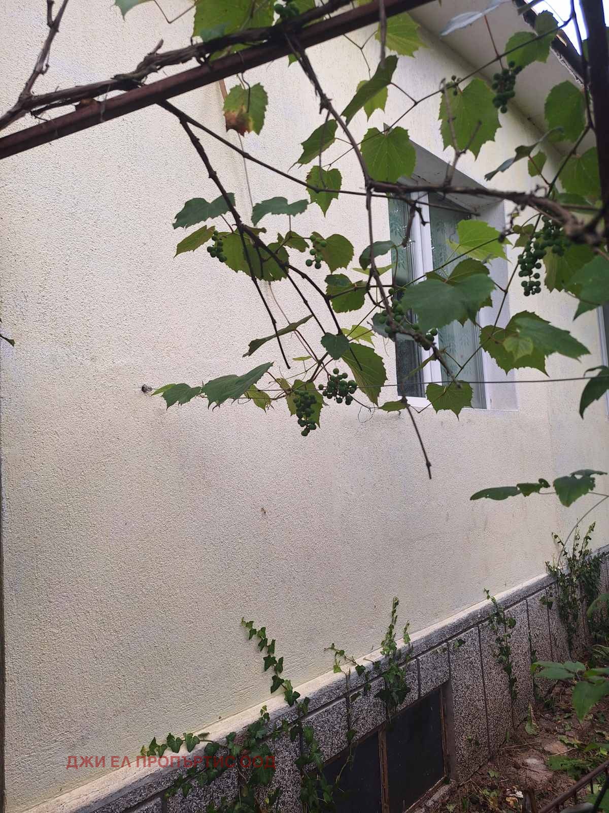 ������� ���� | Imot.bg � ����������� 2