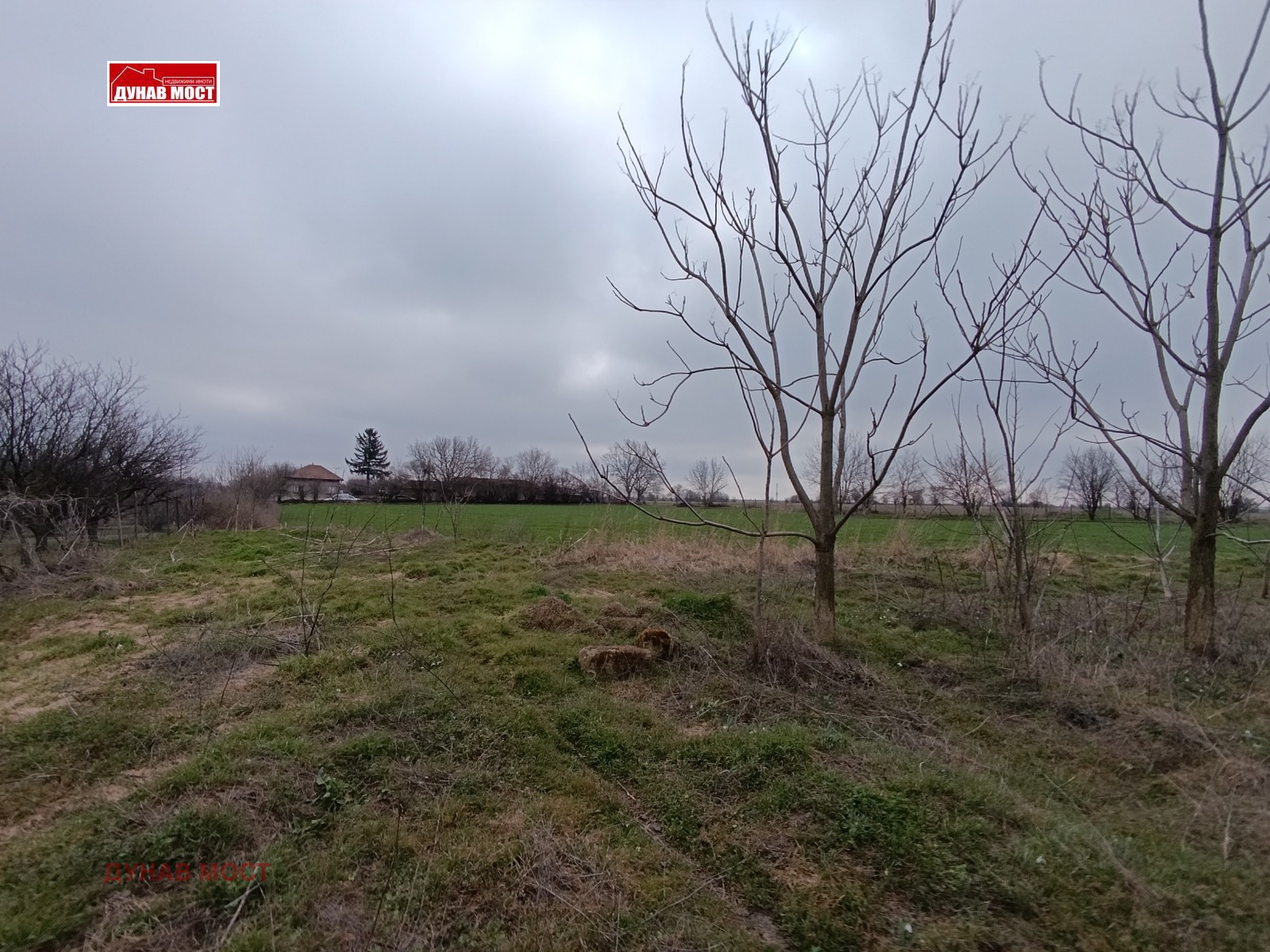 ������� ������ | Imot.bg � ����������� 7