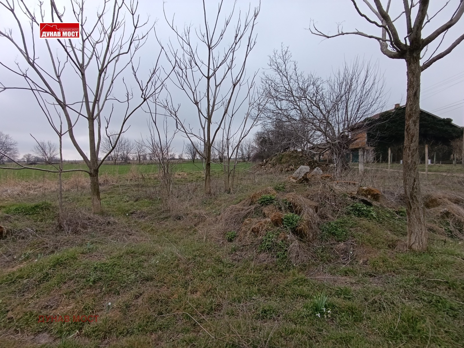 ������� ������ | Imot.bg � ����������� 9