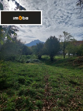 ����� ������� ������,��. �����, ������ �����