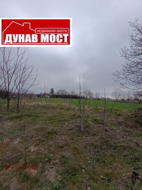 ������� ������ | Imot.bg � ����� ������ 15