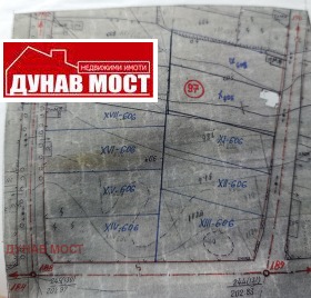 ����� ������� ������,�. ������ �����, ������ ����