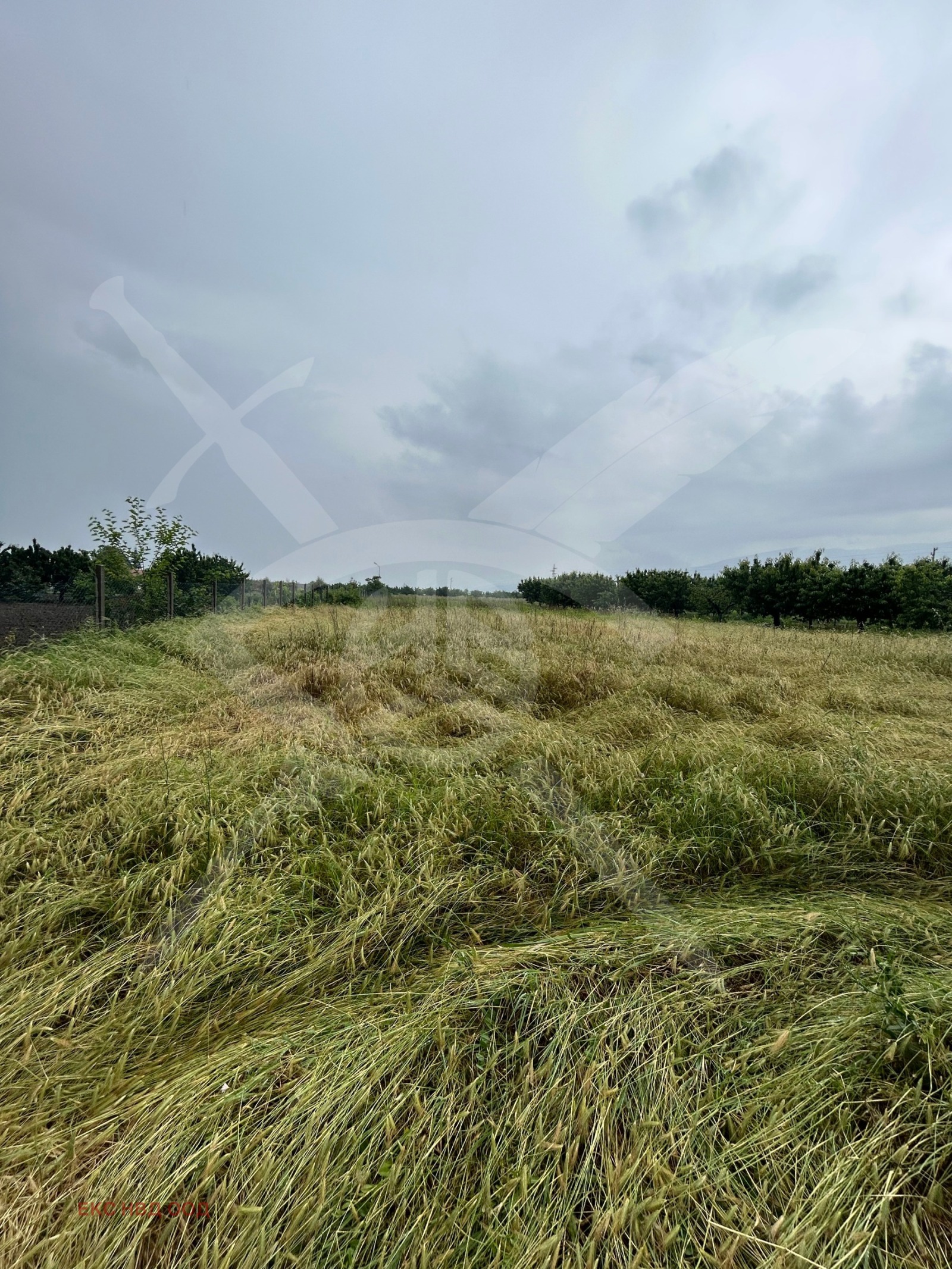 Продава ПАРЦЕЛ, с. Белащица, област Пловдив, снимка 2 - Парцели - 53920931