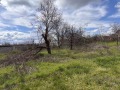 Продава КЪЩА, гр. Тръстеник, област Плевен, снимка 9