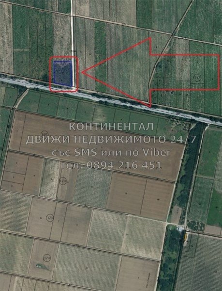 Satılık  Kara bölge Filibe , Calapica , 4 dka | 69526116 - görüntü [2]