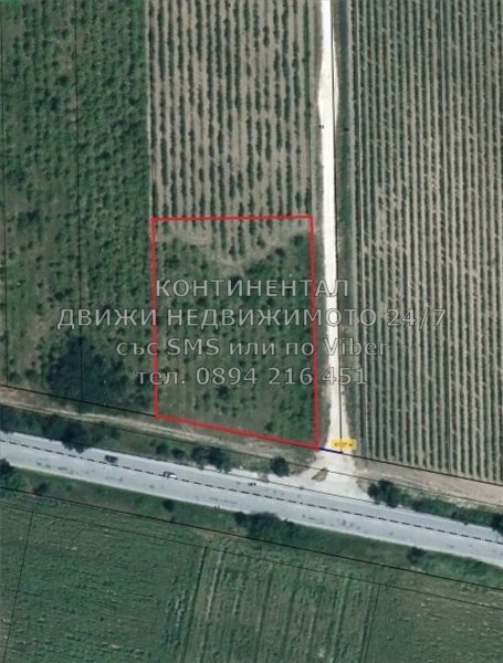 Satılık  Kara bölge Filibe , Calapica , 4 dka | 69526116