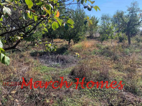 ������� ���� | Imot.bg � ����� ������ 8