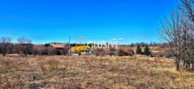 ������ ������� ������