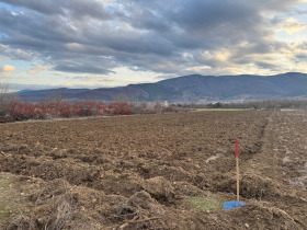 ����� ������� ���������� ����,��. ������, ������ �������