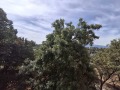 Продава 1-СТАЕН, град София, Сухата река • 135000 € • 59041694 — Holmes.bg