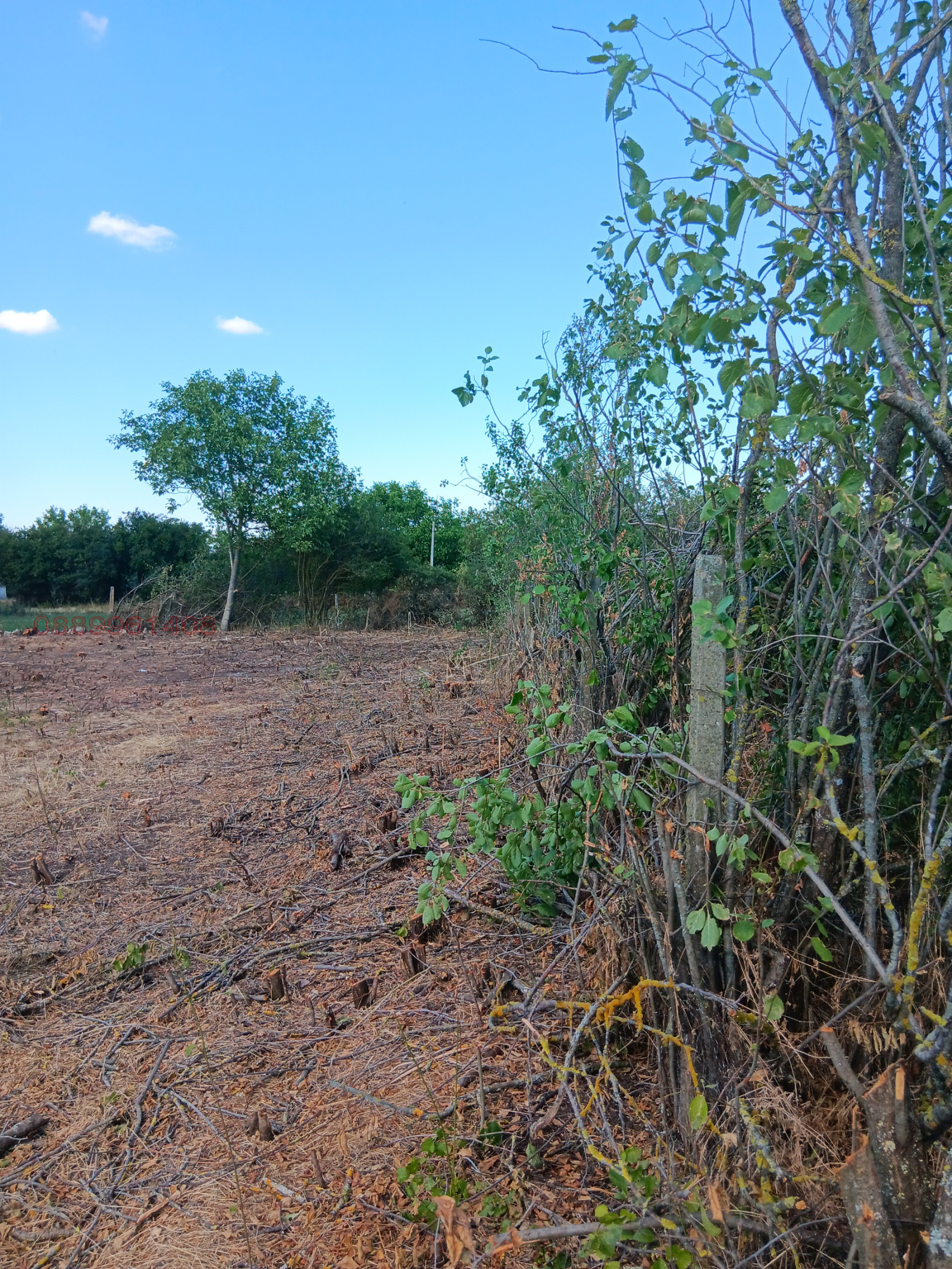 ������� ������ | Imot.bg � ����������� 7