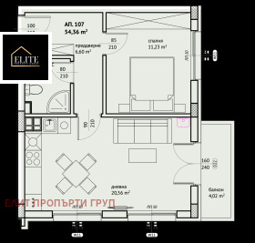 ����� ������� 2-�����,���� �����, �������� ������