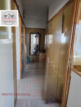 ����� ������� 2-�����,���� ����� ������, ��������