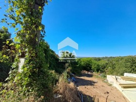 ������ ������� ������