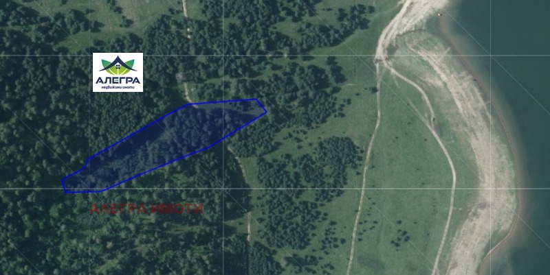 Продава ЗЕМЕДЕЛСКА ЗЕМЯ в област Пазарджик, гр. Батак - 9.898 дка / 177 126.85 € » 346 430 лв., АЛЕГРА ИМОТИ