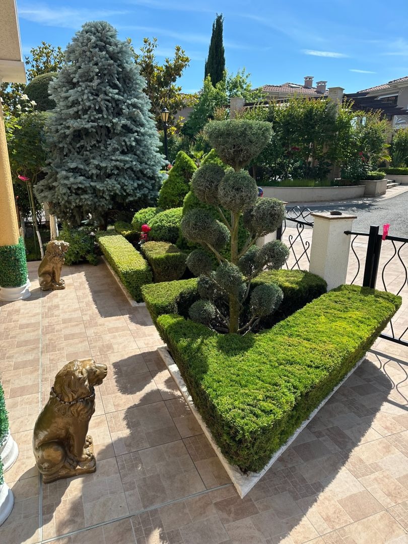 ������� ���� | Imot.bg � ����������� 4