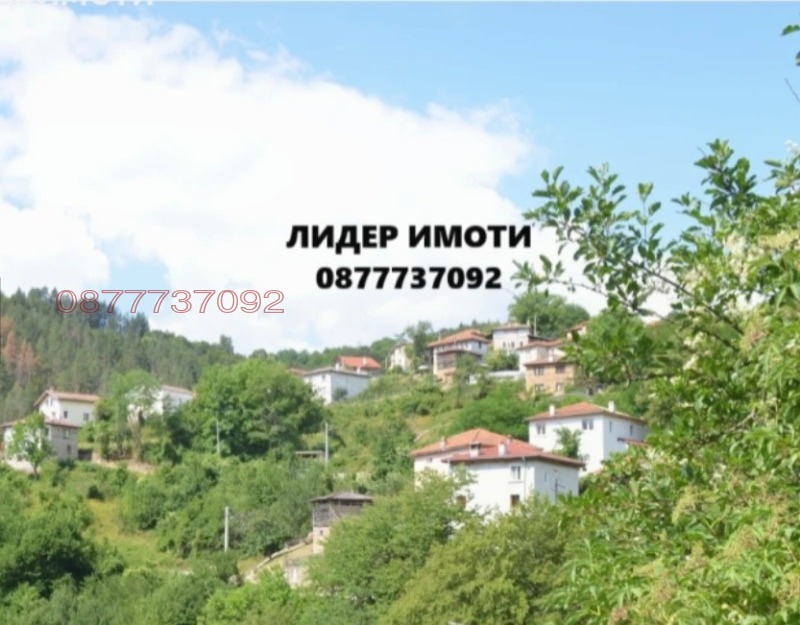 Продава КЪЩА, с. Полковник Серафимово, област Смолян, снимка 13 - Къщи - 52781083