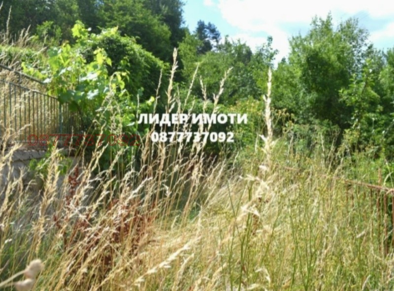 Продава КЪЩА, с. Полковник Серафимово, област Смолян, снимка 15 - Къщи - 52781083