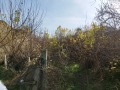 Продава ПАРЦЕЛ, с. Българене, област Плевен, снимка 2