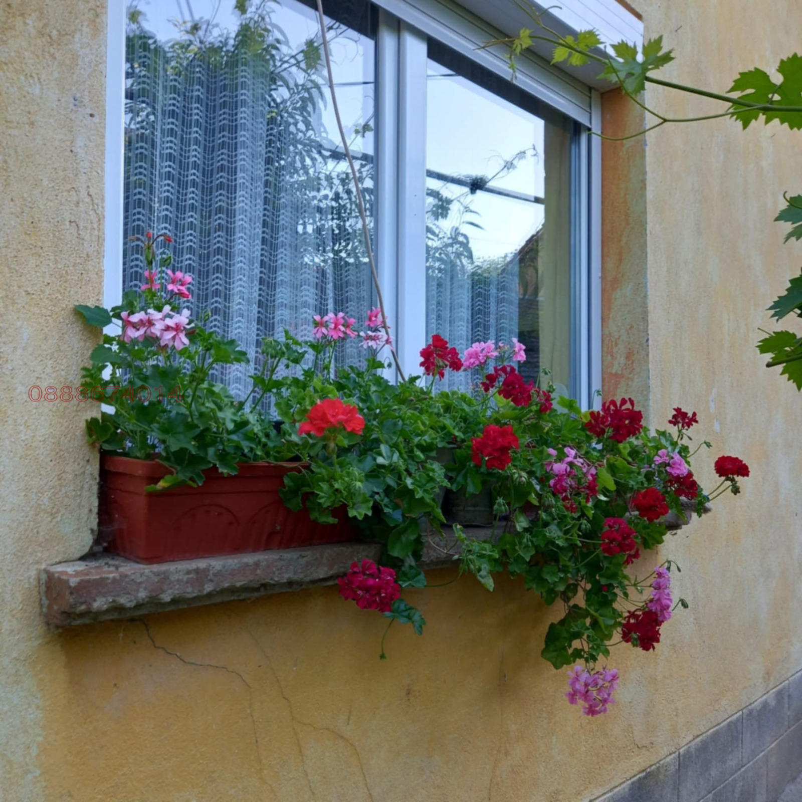 ������� ���� | Imot.bg � ����������� 2