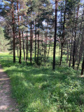 Продава ПАРЦЕЛ, с. Копривлен, област Благоевград, снимка 3