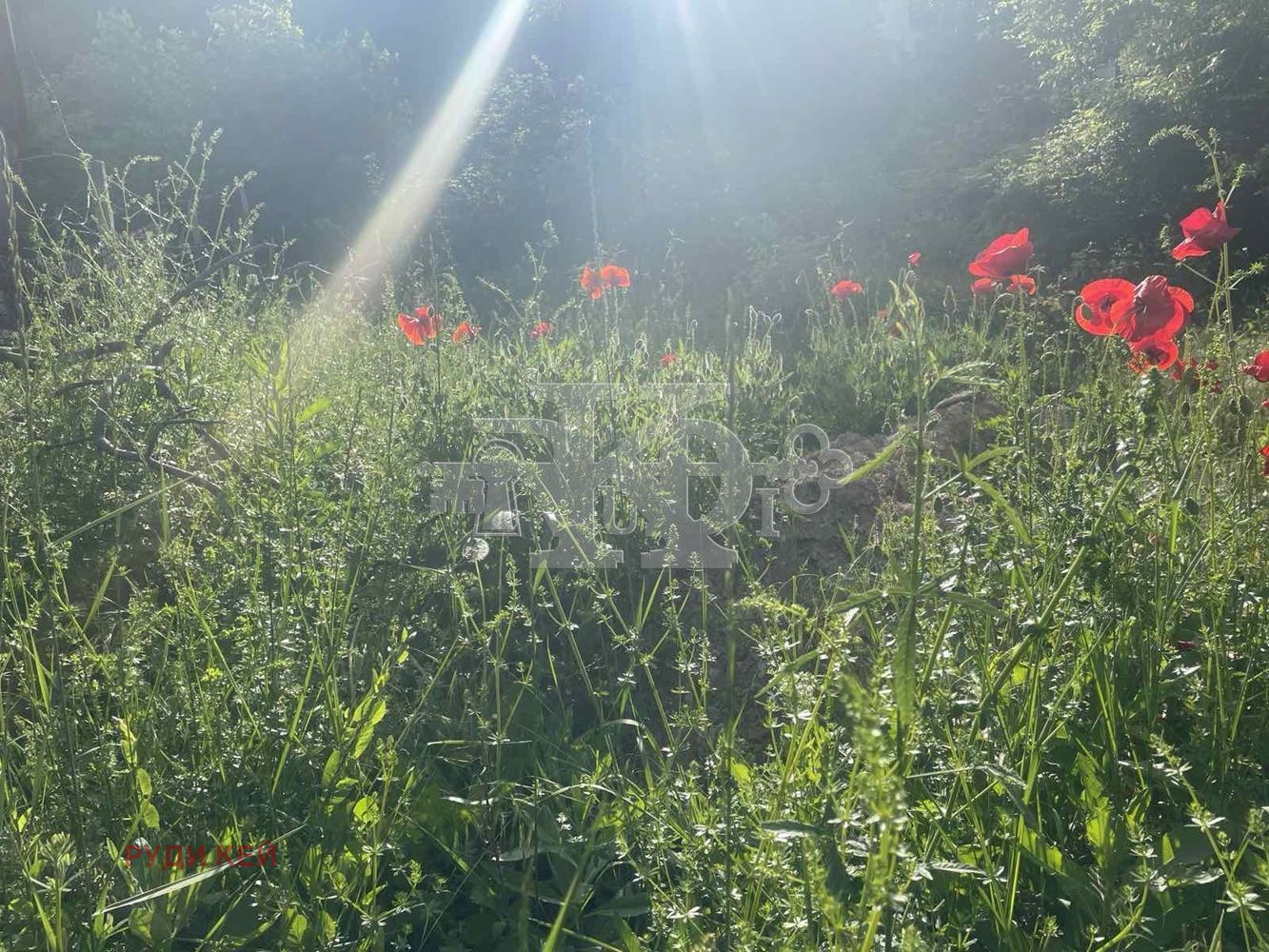 Продава ПАРЦЕЛ | Imot.bg — изображение 2