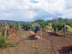 ������� ���� | Imot.bg � ����� ������ 15