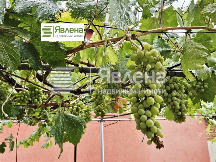 Til salgs  Hus region Pleven , Telisj , 610 kvm | 41430247 - bilde [6]