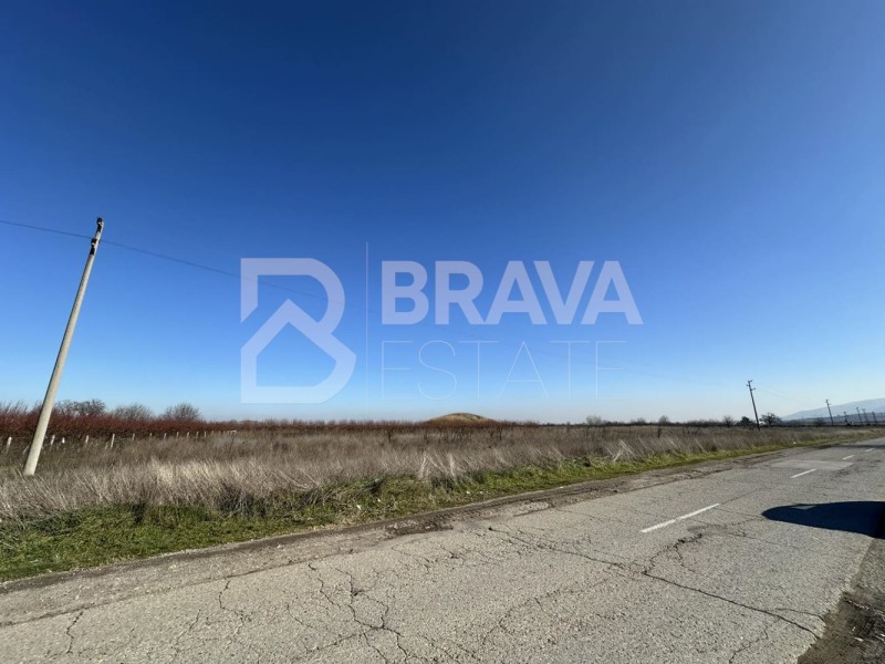 Продава ЗЕМЕДЕЛСКА ЗЕМЯ, с. Брестовица, област Пловдив, снимка 3 - Земеделска земя - 53173588