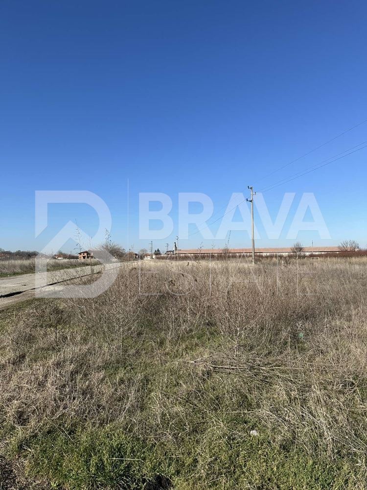 Продава ЗЕМЕДЕЛСКА ЗЕМЯ, с. Брестовица, област Пловдив, снимка 2 - Земеделска земя - 53173588