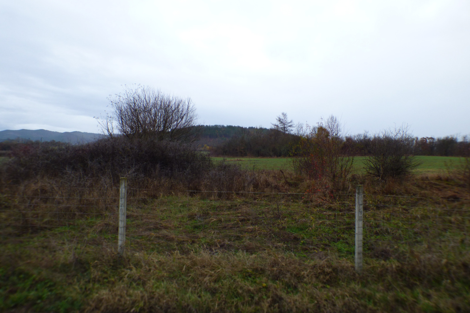 Продава ПАРЦЕЛ, гр. Правец, област София област, снимка 2 - Парцели - 53250946