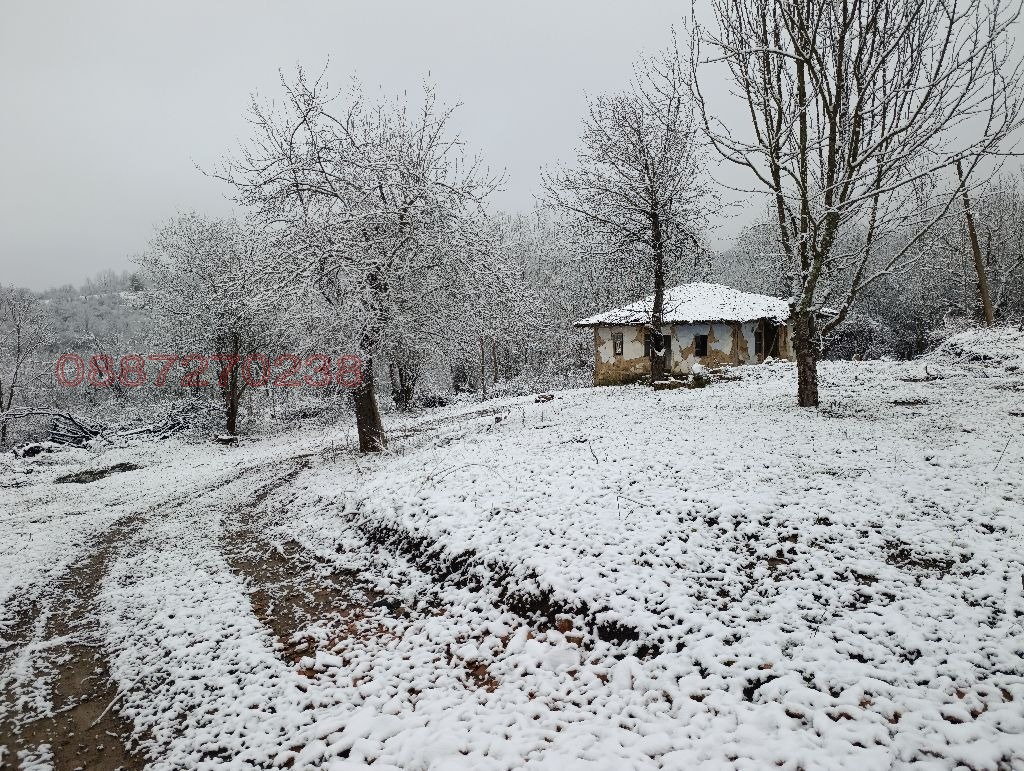 ������� ���� | Imot.bg � ����������� 1