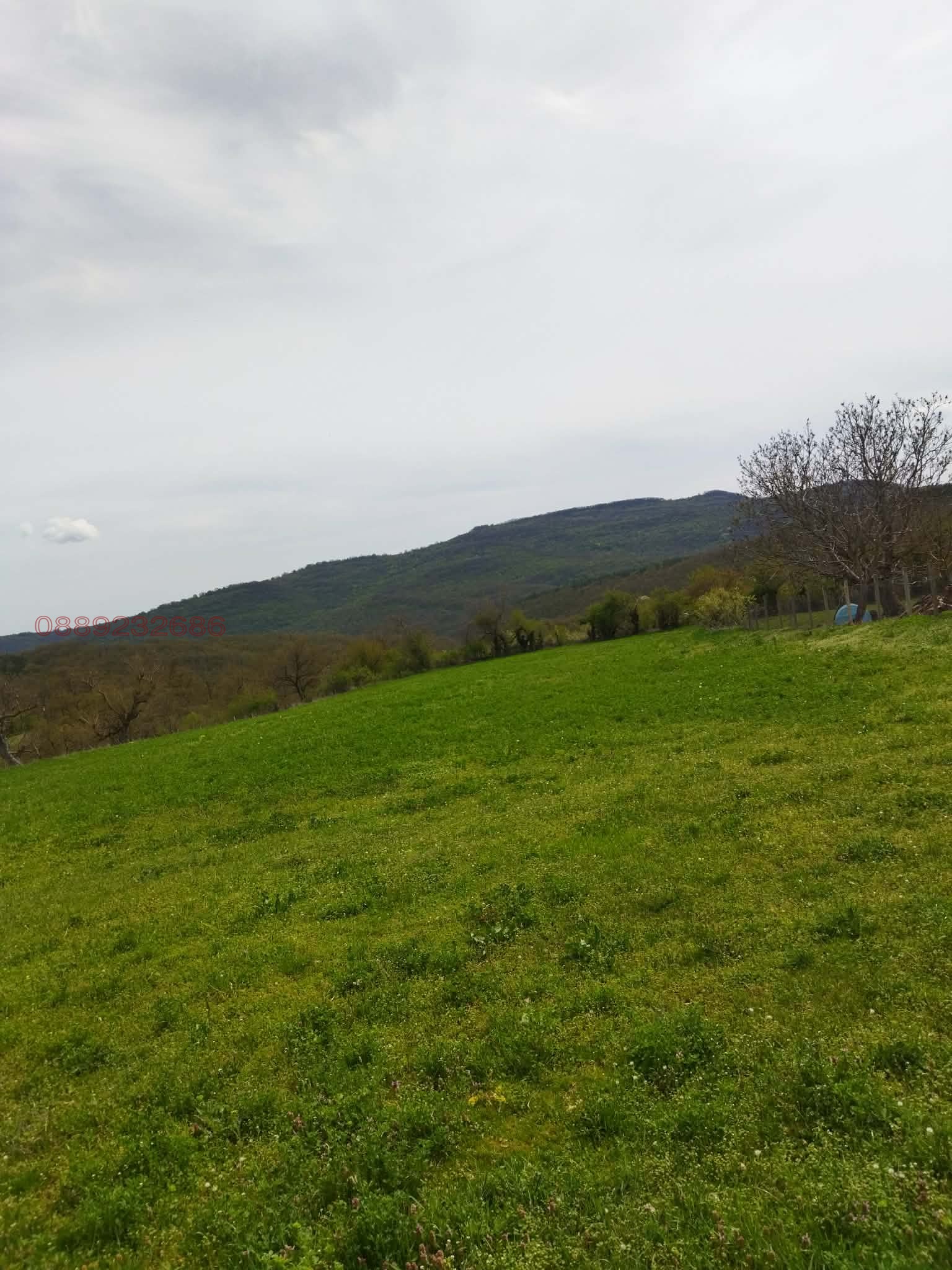 ������� ������ | Imot.bg � ����������� 6