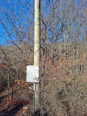 ������� ���� | Imot.bg � ����� ������ 6