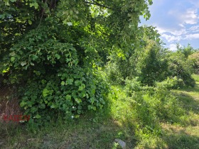 ������� ������ | Imot.bg � ����� ������ 2