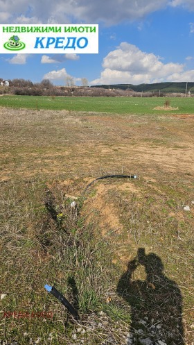 ����� ������� ������,�. ����� ������, ������ ������