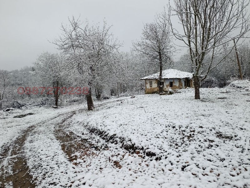 Продава КЪЩА, гр. Елена, област Велико Търново