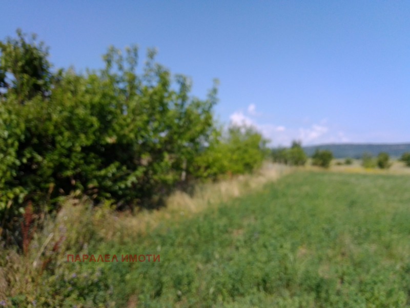 Till salu  Komplott region Plovdiv , Gorna mahala , 1220 kvm | 69583621 - bild [5]