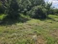 Продава ПАРЦЕЛ, гр. Кюстендил, Герена, снимка 4