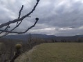 Продава  Парцел област Варна , с. Голица , 2079 кв.м | 88567142 - изображение [10]