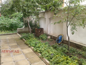 ����� ������� ���� �� ����,���� �����, ������