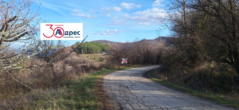 Продава ПАРЦЕЛ, гр. Елена, област Велико Търново, снимка 2 - Парцели - 53271391